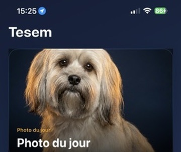 TESEM — aperçu